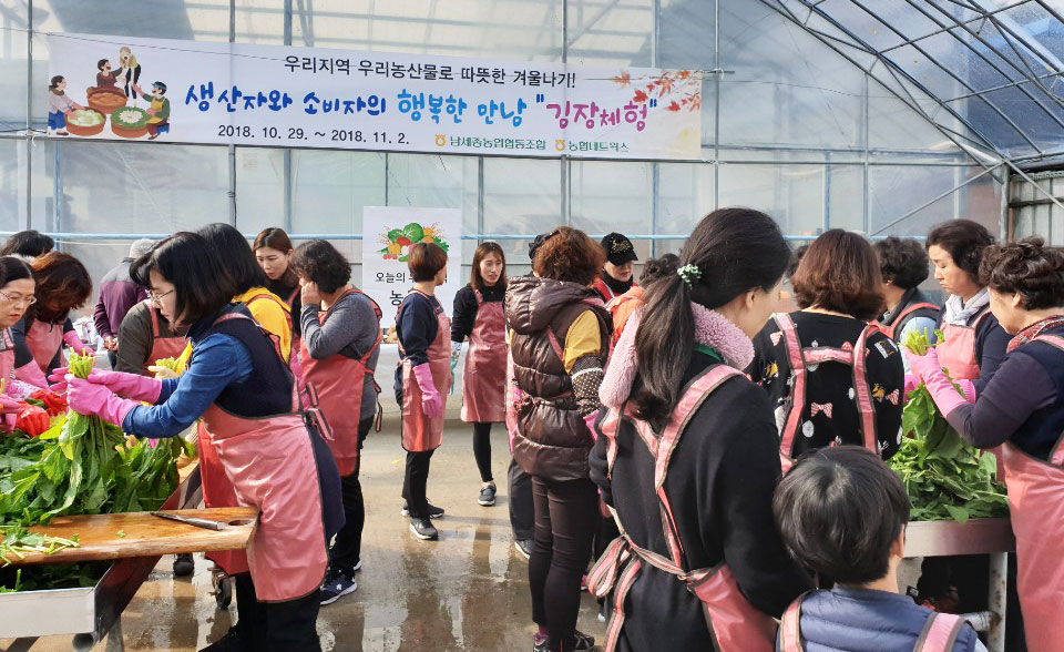 남세종 농협은 지역 농산물 홍보와 도시 주부들에게 김장 체험을 위해 '김장 담그기 행사'를 실시했다.
