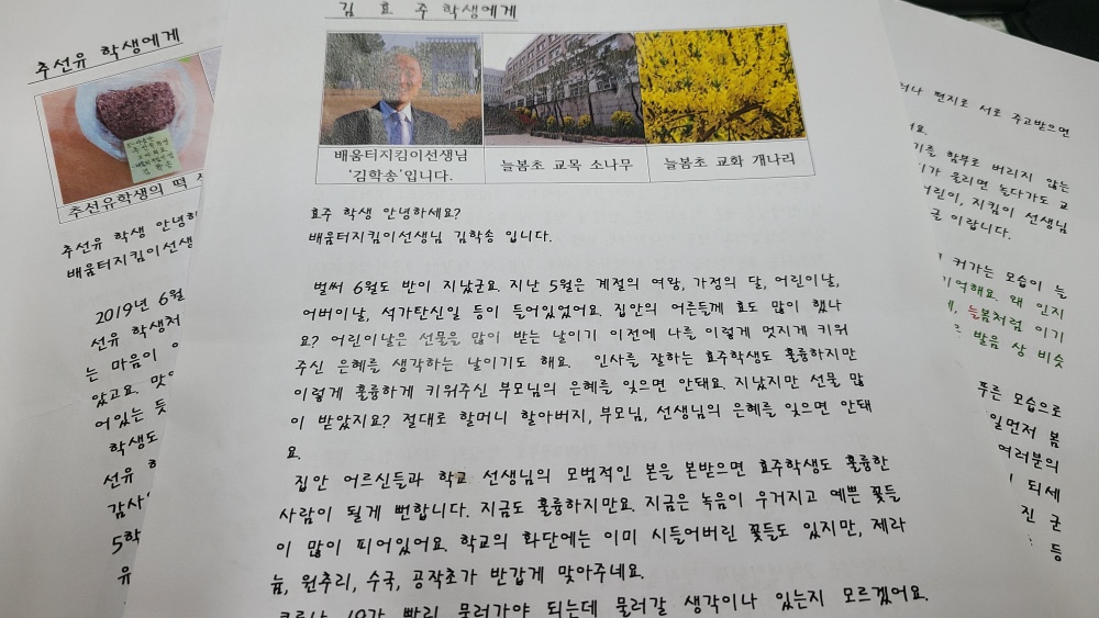 김학송 선생님이 학생들에게 보낸 칭찬편지, 학교 교목인 소나무 사진과 교화인 개나리 사진을 넣기도 하며 A4용지 3~4장 분량의 편지를 보내 아이들을 칭찬한다.