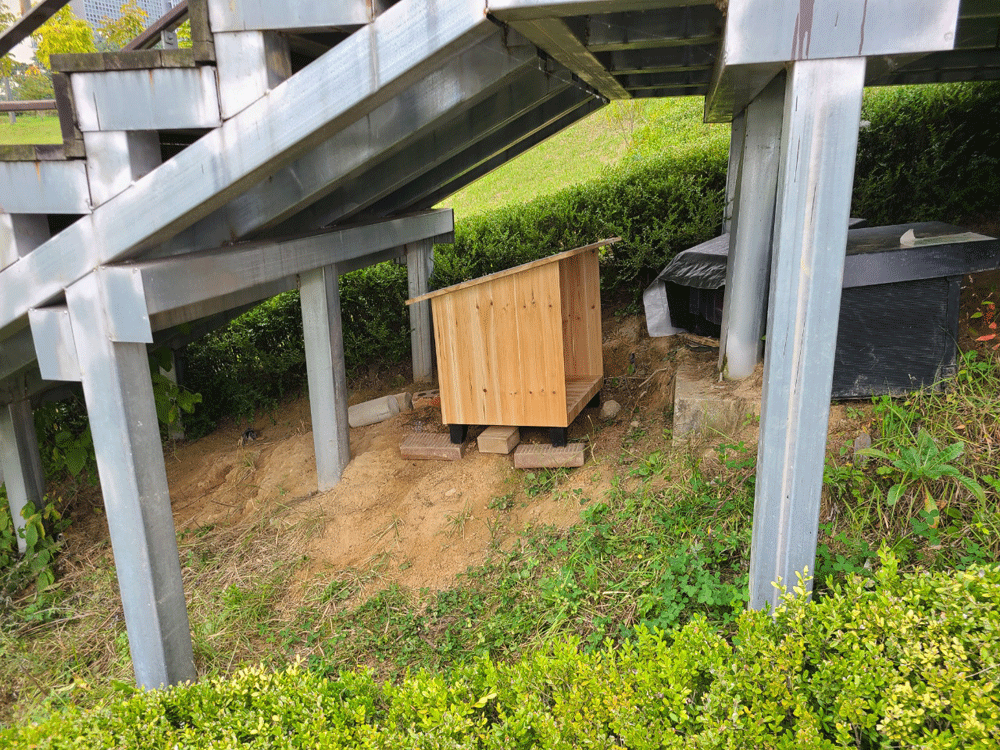 시민들의 산책용 데크 계단 밑에 만들어진 길고양이 급식소 (사진=세종시)