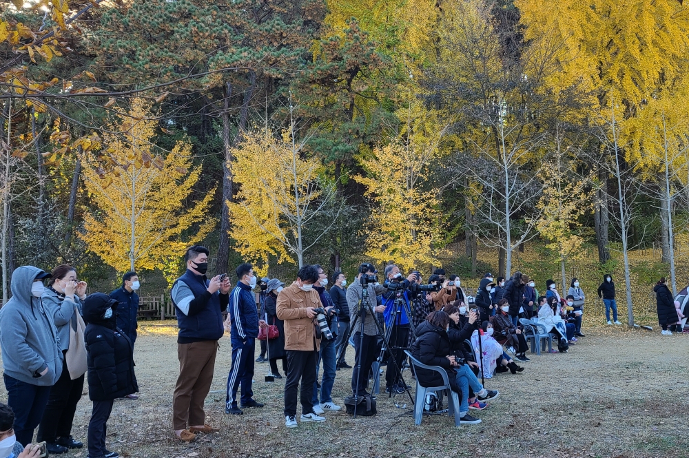 가을이 깊어가는 금강수변공원에서 관객들이 공연을 관람하고 있다.