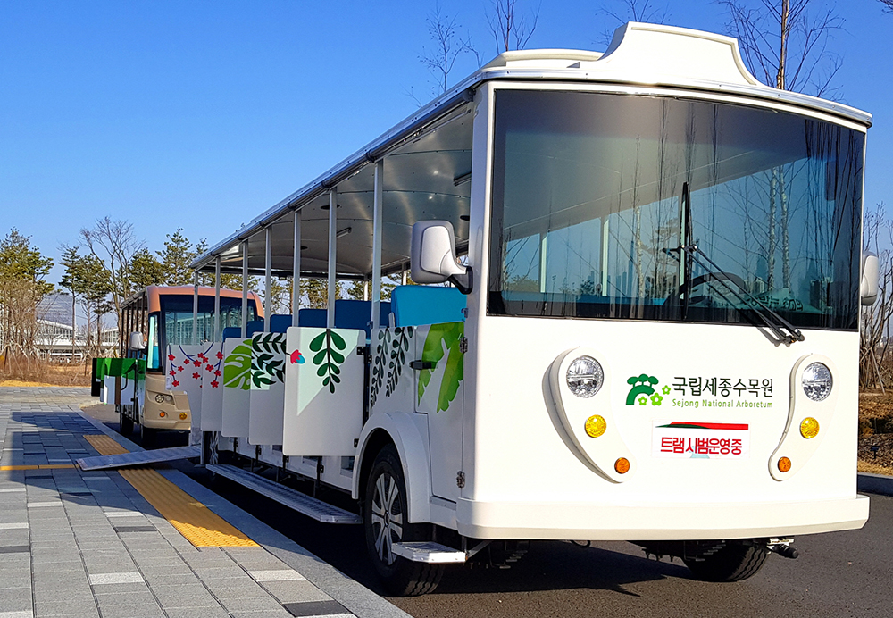 오는 4월 1일부터 국립세종수목원(이유미 원장)은 보행 약자를 위해 수목원 내에서 트램 운행을 시작한다고 밝혔다.