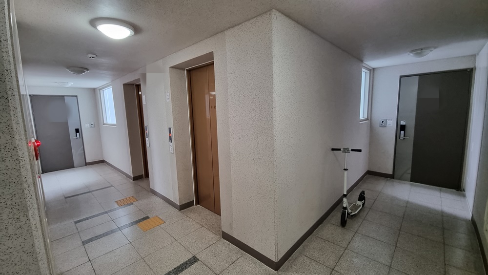 세종시 행복도시의 한 아파트 단지 내부 엘리베이터 주변 모습